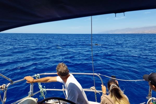 Whale watching tour at Puerto Colon