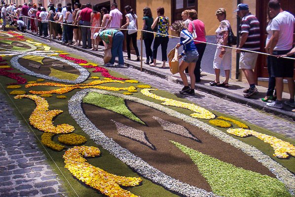 Flower carpet at La Orotava festivities Flower carpet at La Orotava festivities