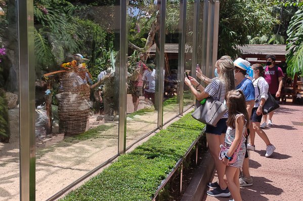 Visitors looking at some of the park's attractions
