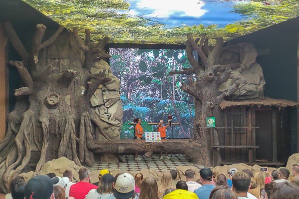 Parrot show at Loro Parque