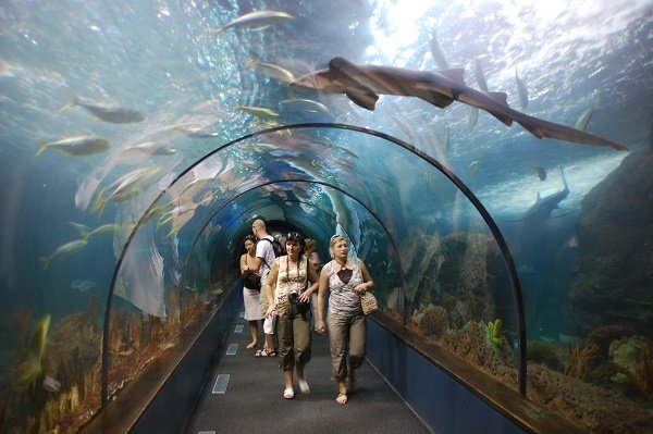 Submarine walkway at the Loro Parque aquarium