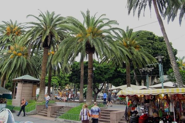 Plaza del Charco, Puerto de la Cruz