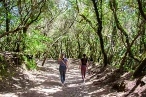 Path of the senses in Anaga Rural Park, Tenerife