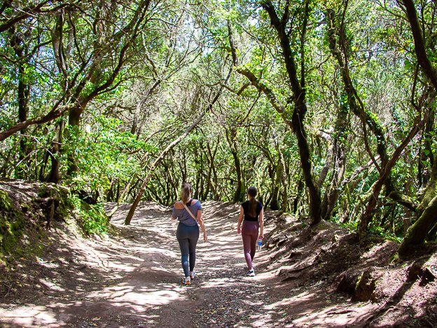 Path of the senses in Anaga Rural Park, Tenerife