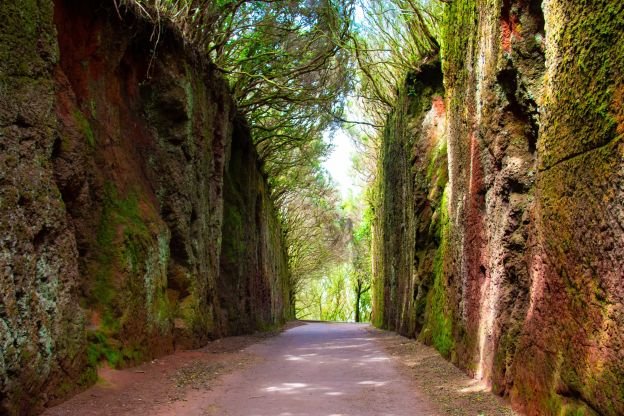 Old Road to Pico del Ingles viewpoint