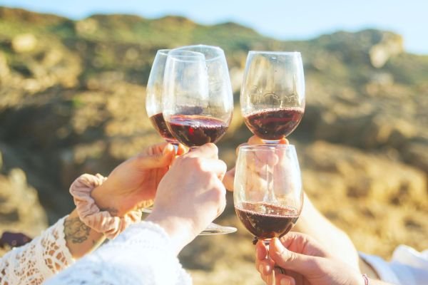 Toasting with red wine